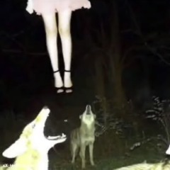 Roi + PardonBenji - Molly (n0tdom + nora) [BL4 + Slump Audios Exclusive]