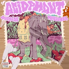 GUzBAss& MPROENZA - Acidphant