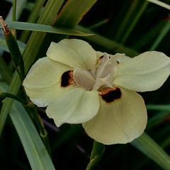 live mix new 8/17/2023