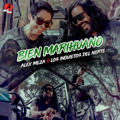Bien Marihuanos