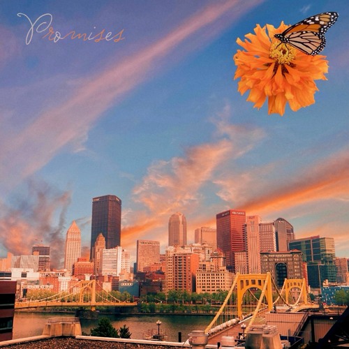 Cleo Sol - Promises [DJ Shoe Tom Club Remix]