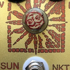 Flowers Full Of Promises