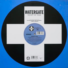 Watergate - Heart Of Asia (STM Bootleg Mix) [Free Download]