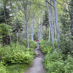 To Get A Touch From The Lord - Mesquite 2023