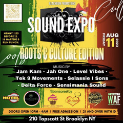 SOUND EXPO- Jam Kam - Jah One - Level Vibes - Tek 9 Movements - Selassie I Sons- Delta Force