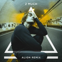 Justin Bieber - 2 Much (ALIGN Remix)