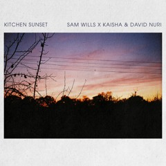 Sam Wills x Kaisha & David Nuri - Kitchen Sunset