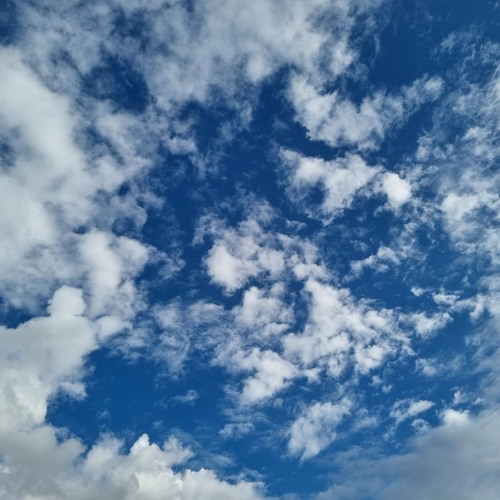 SySF. ft. Anna - Look To The Sky (True Color Extended Mix)