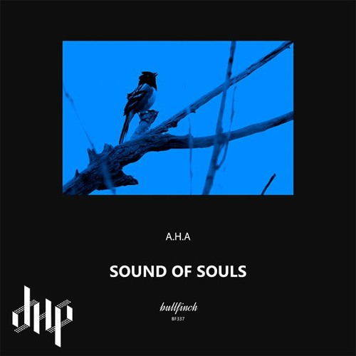 FULL PREMIERE : A.H.A - Flyby [Bullfinch]