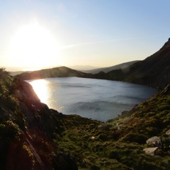 Yr Allor Goch