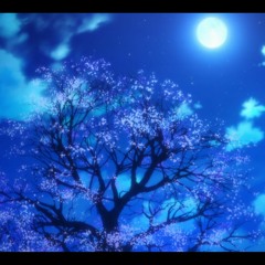 scene6