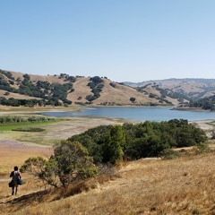 Kiirtan 75 Capo 3  Am, Dm, F, C, G (2x) F, C, G (2x)