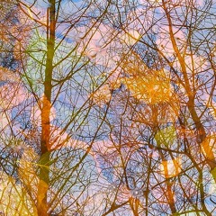 Topa Endori & Gilbak - Life (Always Tebseil)