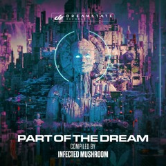 Infected Mushroom & Skazi - I Wish (Skazi Edit)