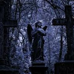 D.S.P - Core - Friedhofmusik [iGoA Tribute]
