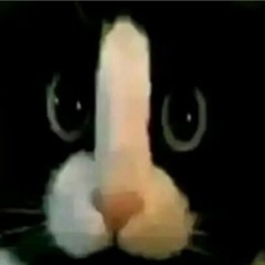 MegaLore Playlist