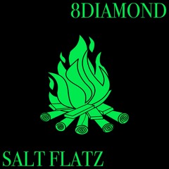 SALT FLATZ