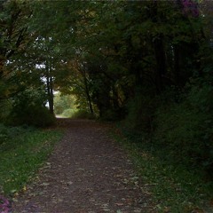 A House, Not Yet Lived In