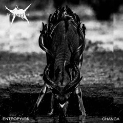 ENTROPY//25 - CHANGA