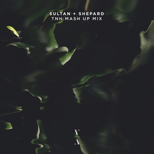 Sultan + Shepard - TNH Mash Up Mix