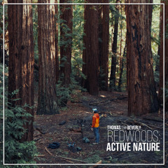 AMB91 Redwoods: Active Nature