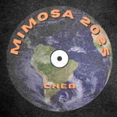 MIMOSA 2025