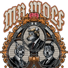 Mr. Wolf