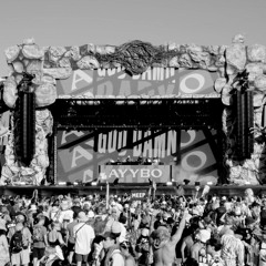 AYYBO LIVE @ ELECTRIC FOREST 2024