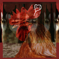clarinet sounds like a chicken group