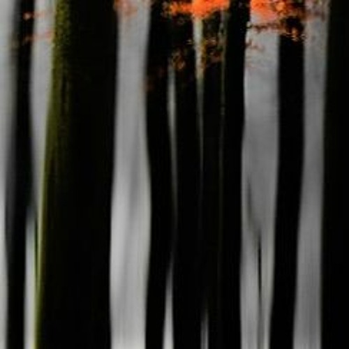 model cycles + roland s-1 : WANDERLUST