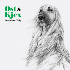 Queen of Europe (feat. Anne Lise Frøkedal)