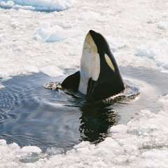 aftrr - i reap what i sow (boots479 remix)