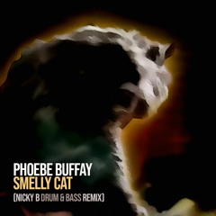 Phoebe Buffay - Smelly Cat (Nicky B Drum & Bass Remix)
