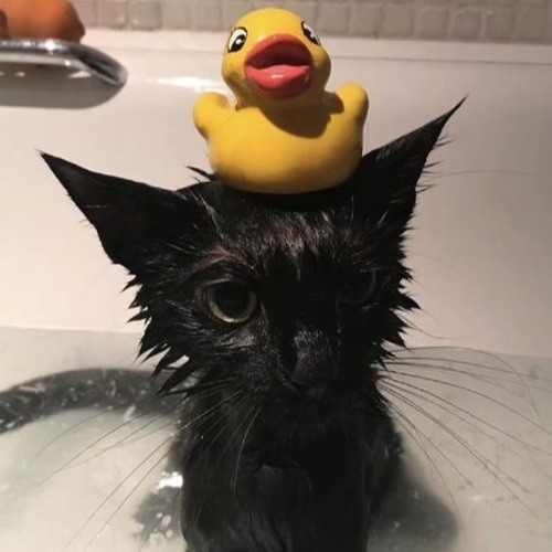 locked +nferior (scarlet)