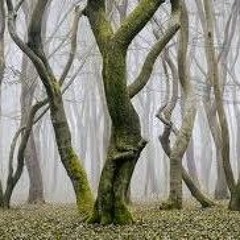 Arris - Trees That Dance - Mix 1