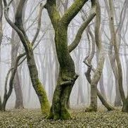 Arris - Trees That Dance - Mix 1