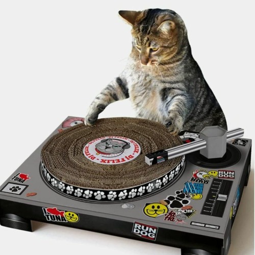 Jess Jul - Kick Sample Pack 'FREE (50+ Kicks)