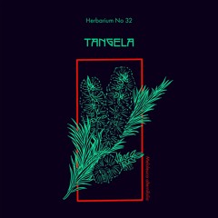 Herbarium - Mix Series