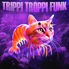 TRIPPI TROPPI FUNK - Slowed