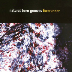 Natural Born Grooves - Forerunner (GRENZ mix) [FREE DOWNLOAD]