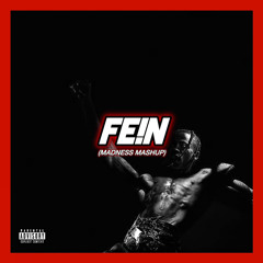 FE!N (Madness Mashup)