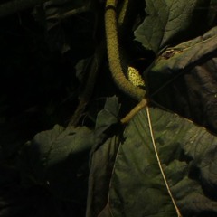 mordzacy mordzacy mordzacy mordzacy mordzacy