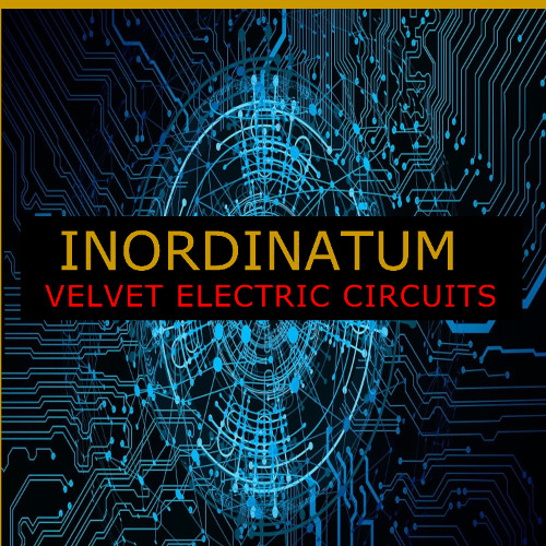 VELVET ELECTRIC CIRCUITS