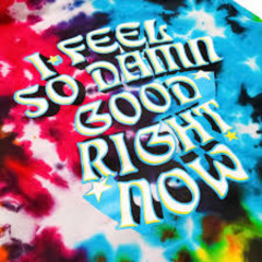 I Feel So Damn Good RIght Now by M1XD NuMb3r5