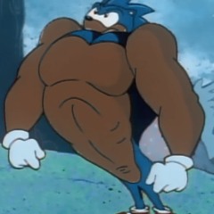 Most lit sonic shit