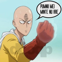 Pumnii Mei Minte Nu Are