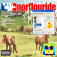 NORFLOURIDE ; "HEAVY MENTAL" @ DISORDER FEST 2022