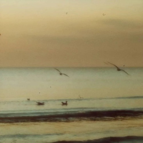 Something About You (Prod. Jaimoe)