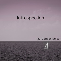 Introspection Voice