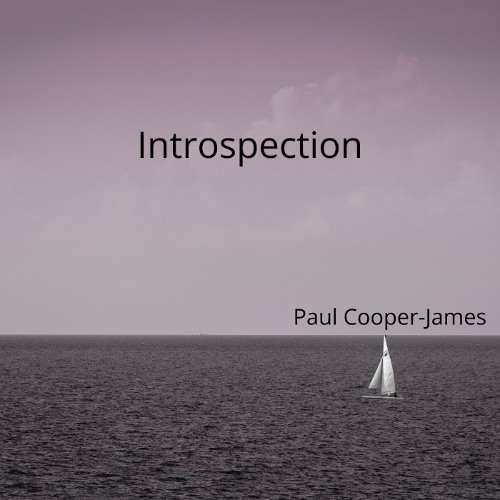 Introspection Voice